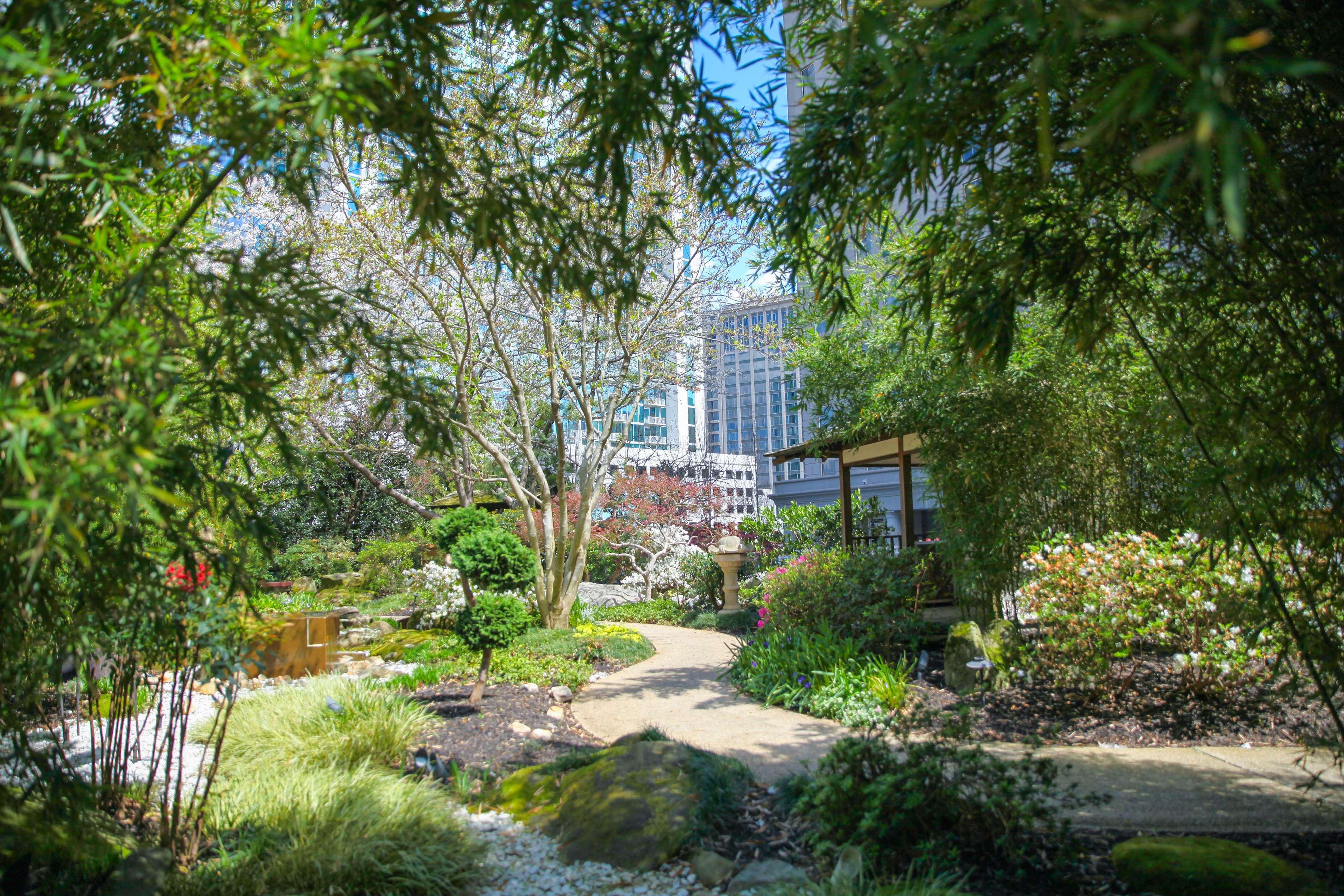 Grand Hyatt Atlanta In Buckhead Otel Dış mekan fotoğraf