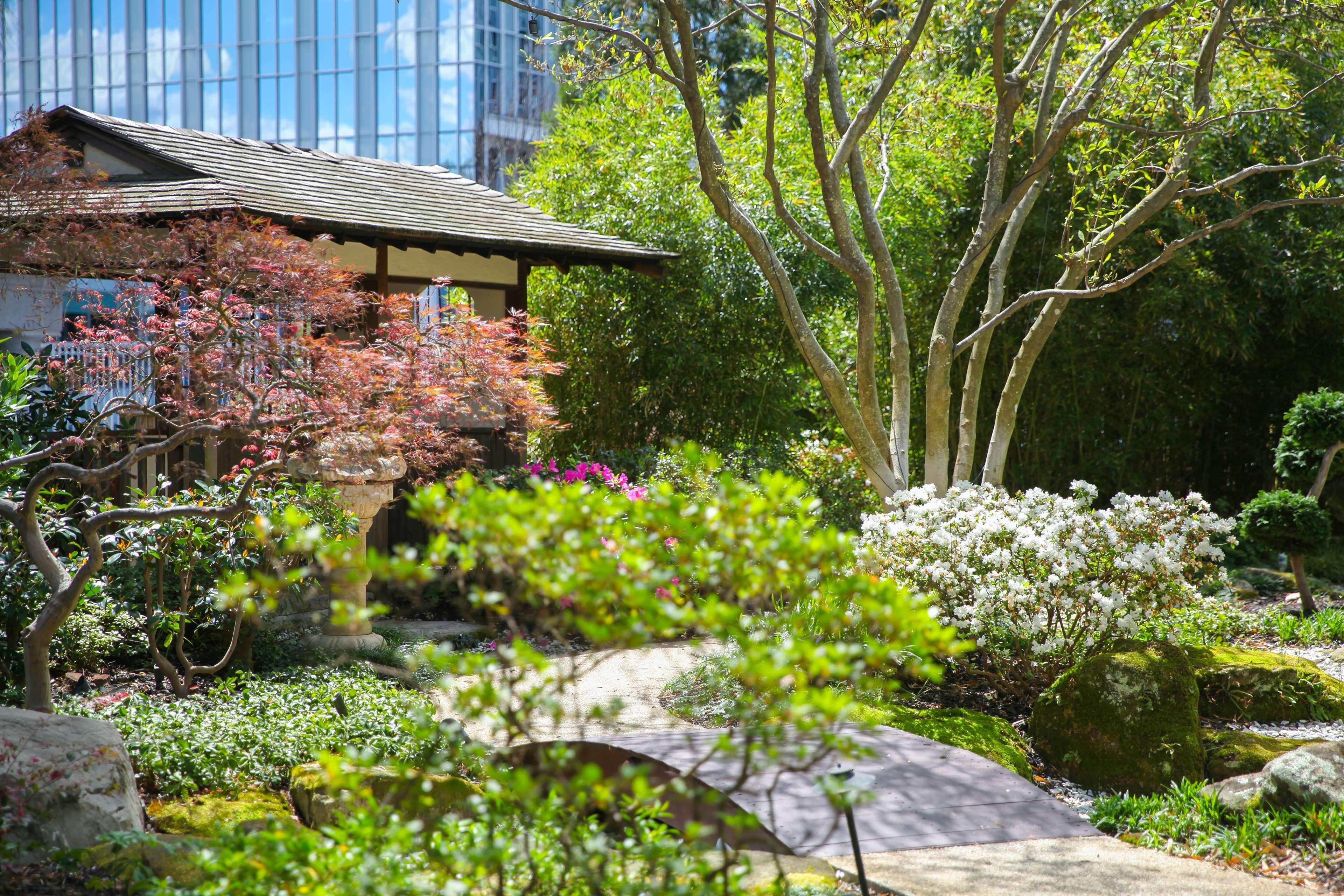 Grand Hyatt Atlanta In Buckhead Otel Dış mekan fotoğraf